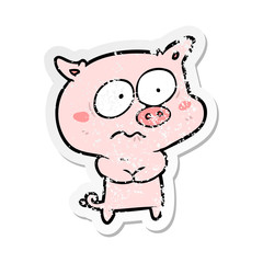 distressed sticker of a cartoon nervous pig