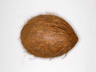 Coconut against white background
