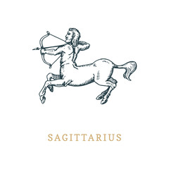 Sagittarius zodiac symbol,hand drawn in engraving style. Vector graphic retro illustration of astrological sign Centaur.