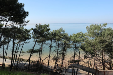 Fototapeta na wymiar Sheltering beneath a pine forest at the foot of the Dune du Pyla nationally-listed site wonder panorama