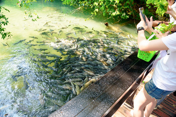fish cave in thailand march 2019