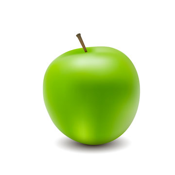 Vector illustration for green apple nuture food organic vegetable organic