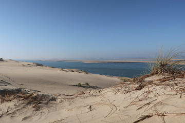 Fototapeta na wymiar Dune of Pilat in pyla France. the largest sandy desert in Europe