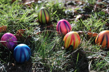 Bunte Eier im Gras zu Ostern