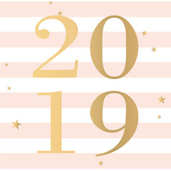 Vector fashion 2019 with pink stripes and gold stars