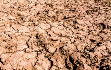 Drought and famine