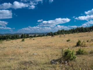 Obraz premium plateau