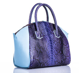 Fashionable woman's stylish bag isolated on white background.
