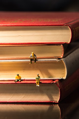 Little figures reading book on book © dreamer82