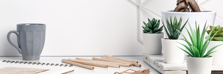 White desk next to an empty wall with space for text. Copy space. Green succulents as a decoration. Opened exercise book, wooden pencils, coffee mug, bonsai and graphic item on the wall. Panorama