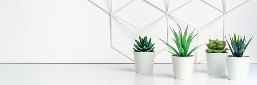 White desk next to an empty wall with space for text. Copy space. Green succulents as a decoration. Graphic element on the wall. Scandinavian style. Panorama