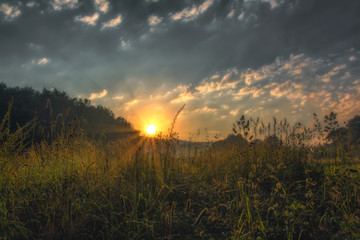 Sunrise on a meadow in the early morning