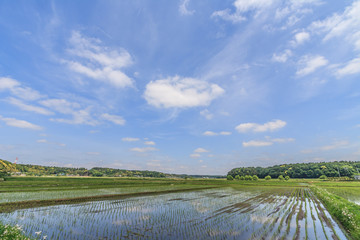 春の四街道市の田園風景