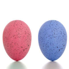 Blue and pink painted eggs, standing upright, on white background with shadow. Gender studies etc.