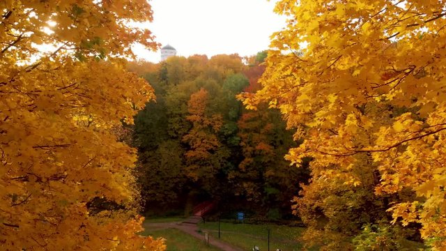 autumn and yellow maple leaves in the park in Kolomenskoye park in autumn season aerial view, Moscow, Russia.