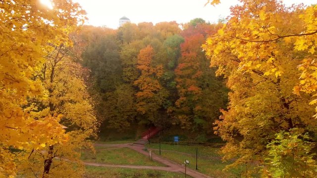 autumn and yellow maple leaves in the park in Kolomenskoye park in autumn season aerial view, Moscow, Russia.