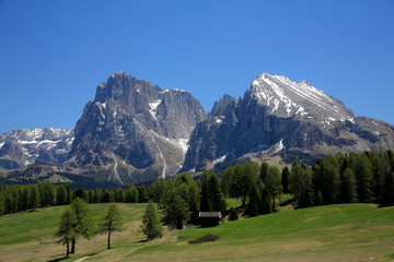 Fototapeta na wymiar Seiser Alm in den Dolomiten, Südtirol, Italien, Europa