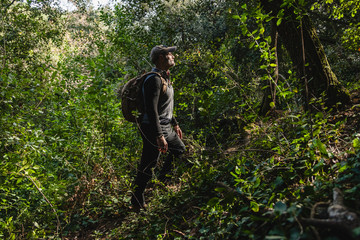 Naklejka na ściany i meble Man with backpack hiking in a beautiful forest with sunlight, side view