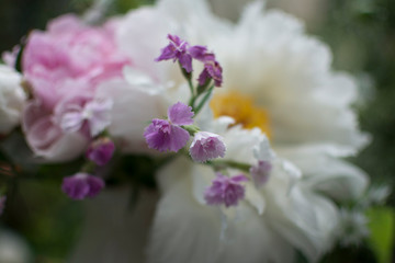 Fototapeta na wymiar Spring Peony Bouquet