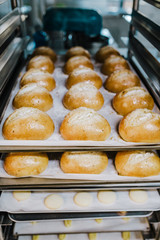 .Bakery cart with many trays and different freshly baked buns. Work concept. Lifstyle.