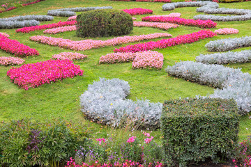 Colorful lawn in the park.
