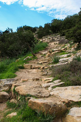 Fototapeta na wymiar Aphrodite and Adonis Nature Trail, Akamas Peninsula, Cyprus