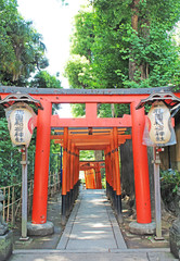 花園稲荷神社の鳥居　上野