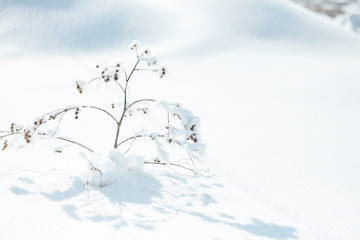 Snowy surface as background white snow selected focus