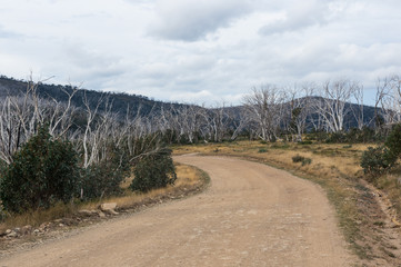 Dargo High Plains Road in north eastern Victoria, Australia.