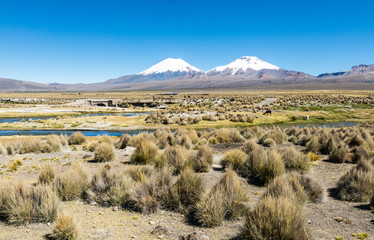 landscape of the Andes Mountains, with llamas grazing