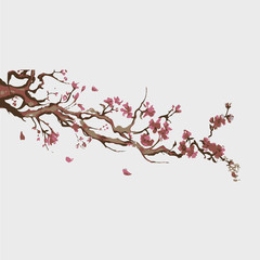 Sakura tree, cherry blossom vector illustration on white background