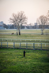 Woman standing in a field and man riding a horse in the background, Zagreb, Croatia