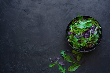 Mix fresh salad leaves in bowl on black background 