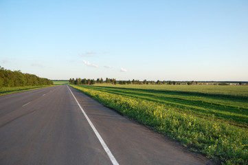 Naklejka premium Roadside green grass