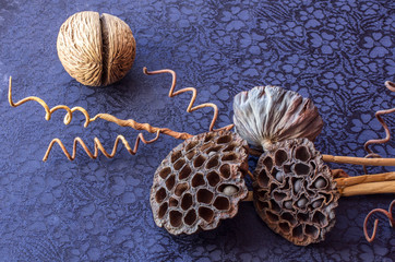 still life - ikebana of dry lotuses and coconut balls. Textile background