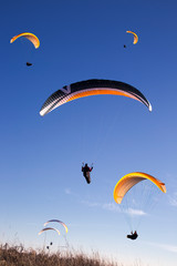paragliders