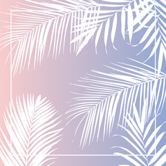 Fototapeta na wymiar Vector tropical white palm leaves on pink background