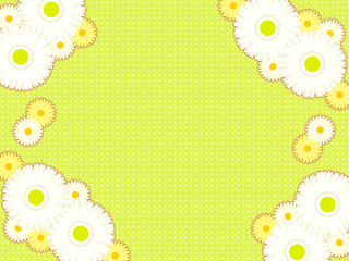 白いガーベラとマーガレットの背景イラスト