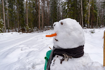 snowman with carrot nose and scarf