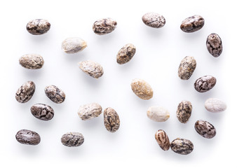 Several Chia seeds isolated on white background. Macro shot.