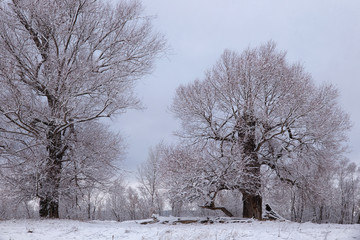 The first snow in December.