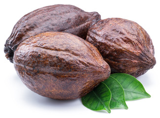 Cocoa pods with cocoa leaves isolated on a white background.