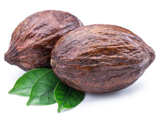 Cocoa pods with cocoa leaves isolated on a white background.