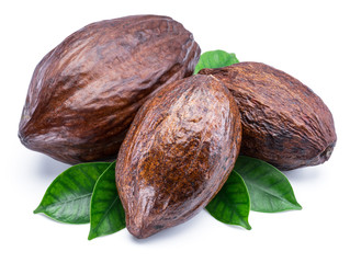 Cocoa pods with cocoa leaves isolated on a white background.
