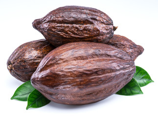 Cocoa pods with cocoa leaves isolated on a white background.