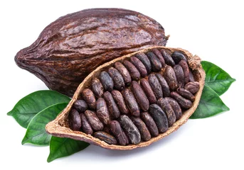Fotobehang Cocoa pods and cocoa beans - chocolate basis isolated on a white background. © volff