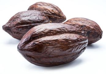 Brown cocoa pods isolated on a white background.