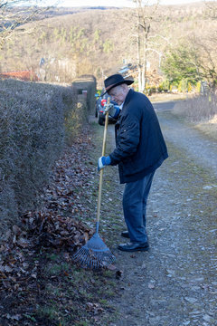 Old man raking fallen leaves in the garden, senior man gardening