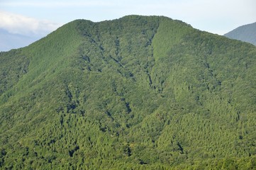 加入道山より緑の鳥ノ胸山 