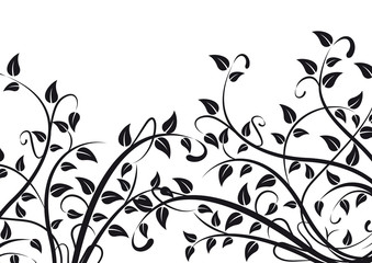 Spring background concept. Plants and foliage on white